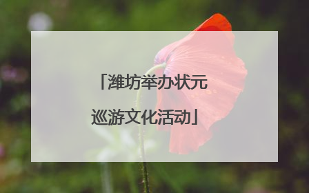 潍坊举办状元巡游文化活动